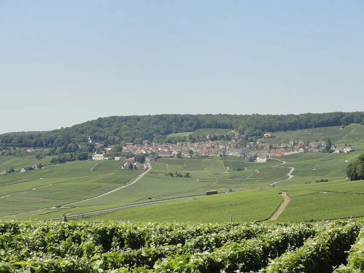 Le village de Hautvillers au milieu des vignes, adossé à la forêt